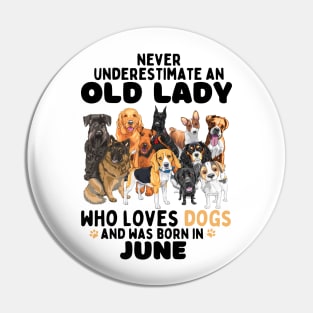 Never Underestimate An Old Lady Who Loves Dogs And Was June Pin