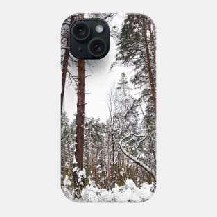 Scene at the Striginsky Bor Forest Park in Nizhny Novgorod with pine trees, curved tree, bushes Phone Case