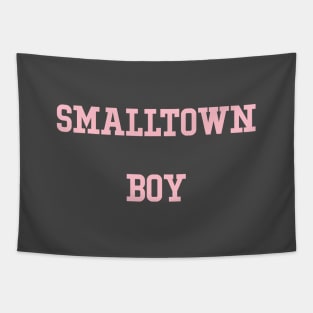 Smalltown Boy, pink Tapestry