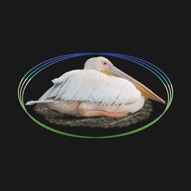 Pelican - Bird in Kenya / Africa by T-SHIRTS UND MEHR