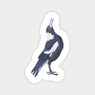 Magpie Magnet