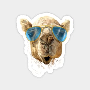 Kamel mit Sonnenbrille Magnet