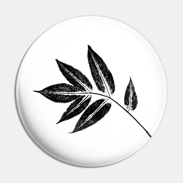 Ash Tree Leaf - Botanical Imprint Pin by Nikokosmos