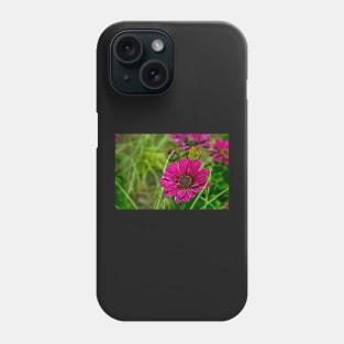 Pink Cape Daisy Flower Phone Case