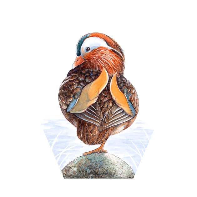 Mandarin Duck Art by Nadya Neklioudova by nadyawildlife