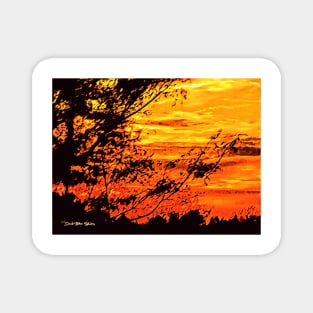 Summer Breeze - Graphic 2 Magnet