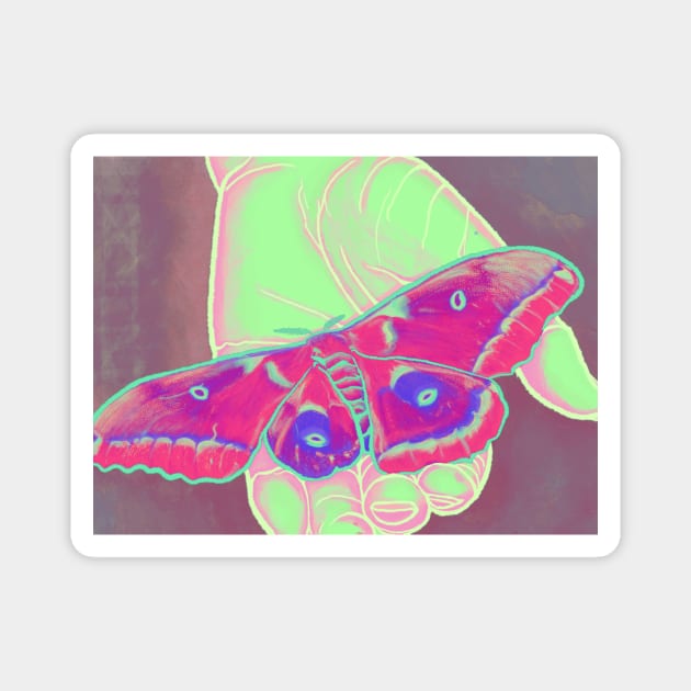 Moth in Hand Magnet by TrishAbyss