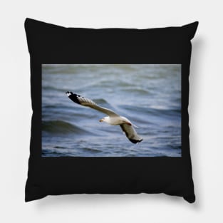 Gull, wind and waves Pillow