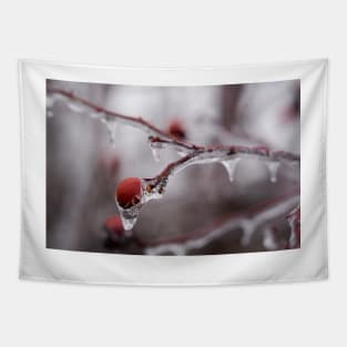 Frozen briar berries Tapestry