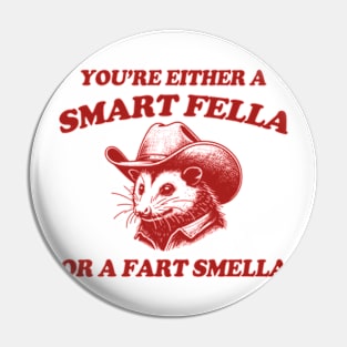 You're Either A Smart Fella Or A Fart Smella Possum Silly Meme Pin