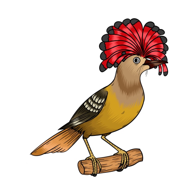 Royal flycatcher bird cartoon illustration by Cartoons of fun