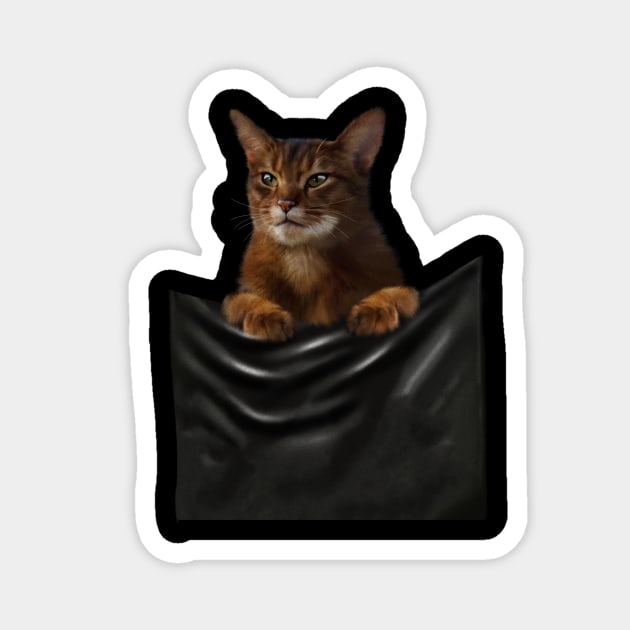 Abyssinian cat, Cat insde pocket, Cat Lover Magnet by logiamerch