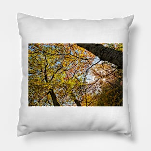 Colours of Autumn Pillow