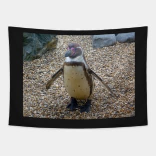 Penguin Tapestry