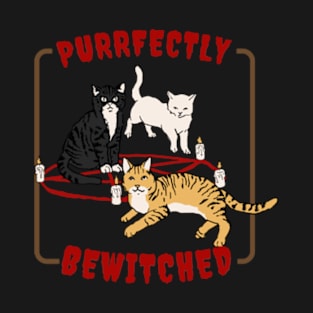 Purrfectly Bewitched Vintage T-Shirt