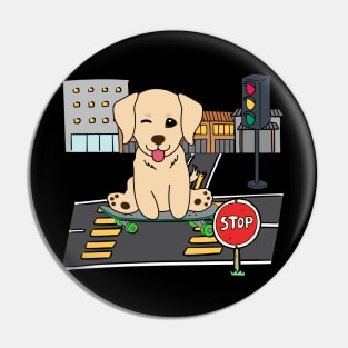 Funny golden retriever is on a skateboard Pin