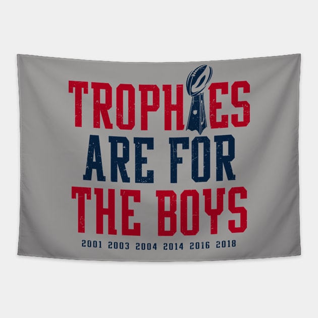 Patriots Trophies Are For The Boys Tapestry by KDNJ