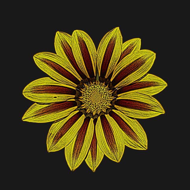 large striped yellow and red flower by pollywolly