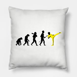 Kung Fu Evolution Pillow