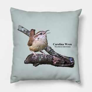 Carolina Wren Pillow