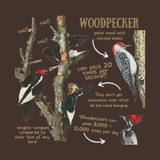 Animal Facts - Woodpecker T-Shirt