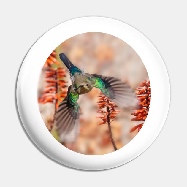 Sunbird and Aloes Pin by scotch