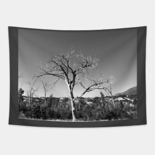 Black and white Dead Tree Tapestry