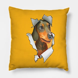 Cartoon Style Dachshund Poking Its Head Through Ripped Paper Pillow
