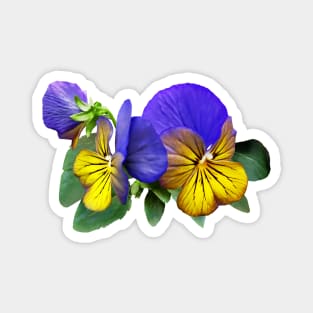 Small Yellow and Purple Pansies Magnet