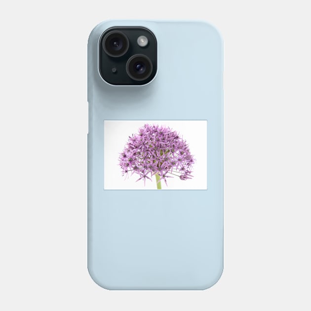 Allium stipitatum  &#39;Violet Beauty&#39; Phone Case by chrisburrows