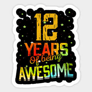 12nd Birthday Vintage 12 Years Old Retro 144 Sticker