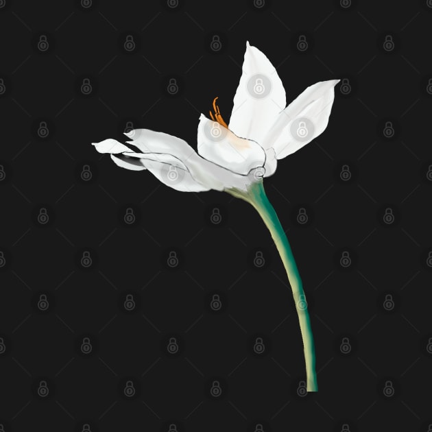 White Flower on Black by designs-by-ann