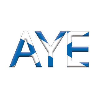 AYE, 3D Pro Scottish Independence Saltire Flag Text Slogan T-Shirt