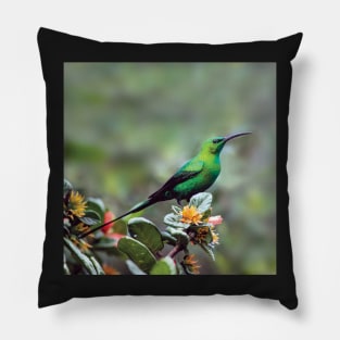 Gorgeous Malachite Sunbird | African Wildlife Pillow