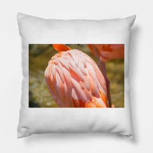 Flamingo body Pillow