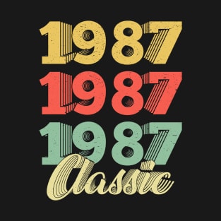 Vintage Retro 1987 33 Years Old 33th Birthday Gift T-Shirt