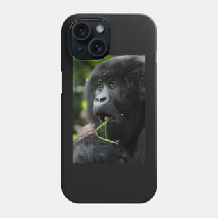 Surprised at Lunch!! Juvenile Mountain Gorilla. Phone Case