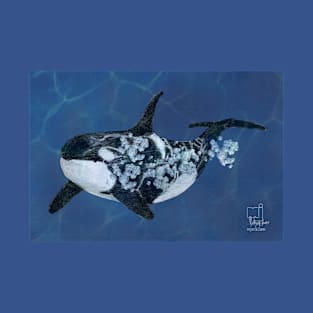 orca T-Shirt