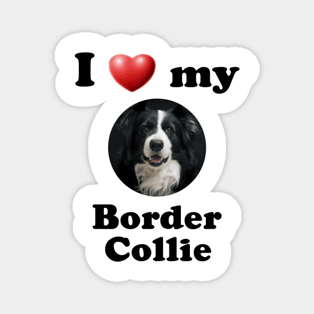 LOVE IS heart BEING OWNED by a BORDER COLLIE dog SIGN magnet puppy MADE IN USA