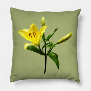 One Yellow Lily Pillow