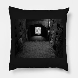 Interior, Colosseum, Rome Pillow