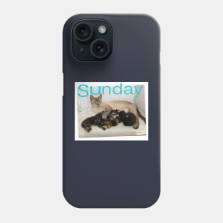 Cute Cats and Kittens Phone Case