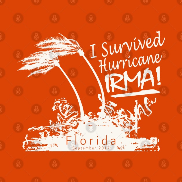 I survived Hurricane Irma by Etopix