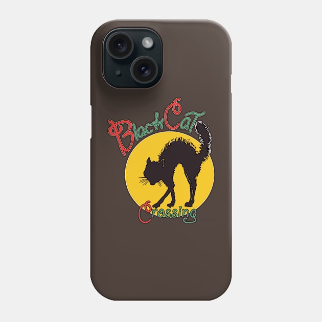 Black Cat Crossing Phone Case by jaysunten