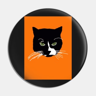 Halloween kitty Pin