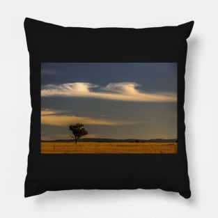 Liverpool Plains Pillow