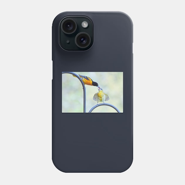 Oriole feeding fledgling #2 Phone Case by LaurieMinor