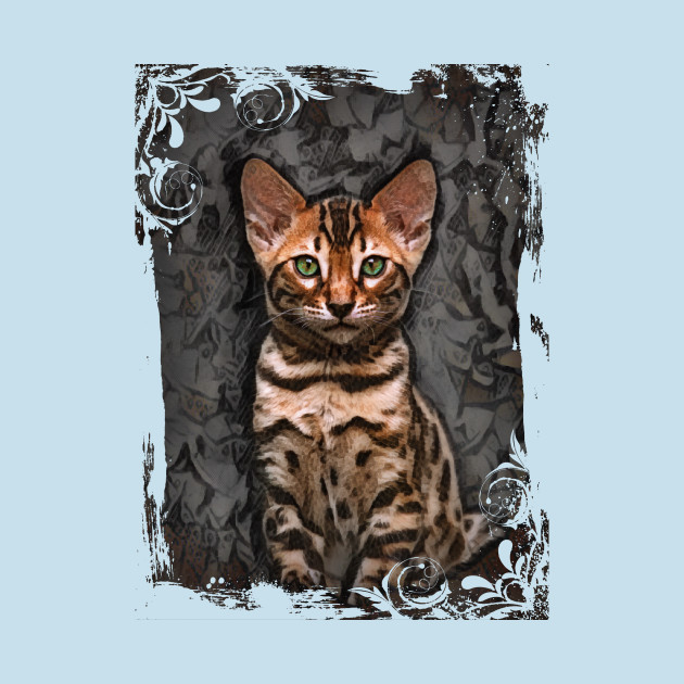 Disover Bengal Kitten On Textured Background - Bengal Kittens - T-Shirt