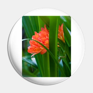 Orange Brilliance Peeking Out Between The Leaves Pin