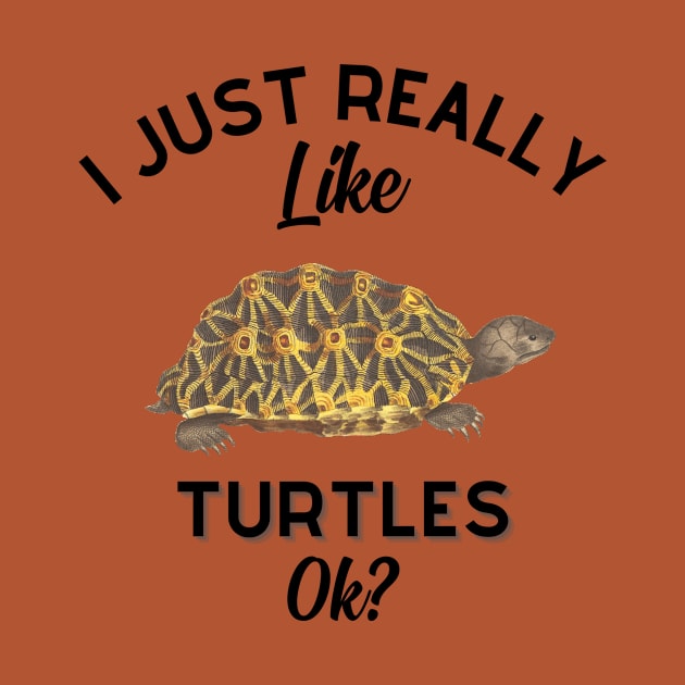 I Just Really Like Turtles OK by GoodWills